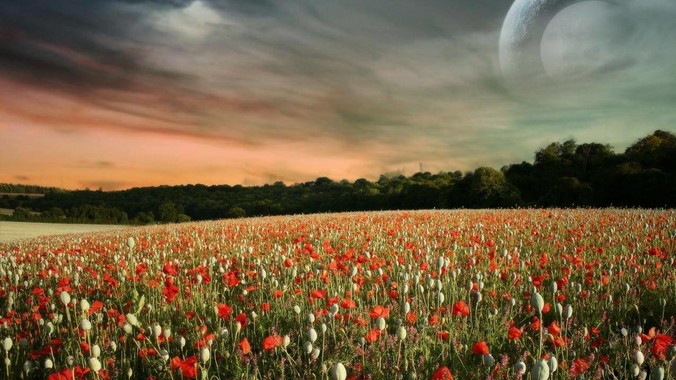 SEO培训案例：关键词SEO秒排的核心，